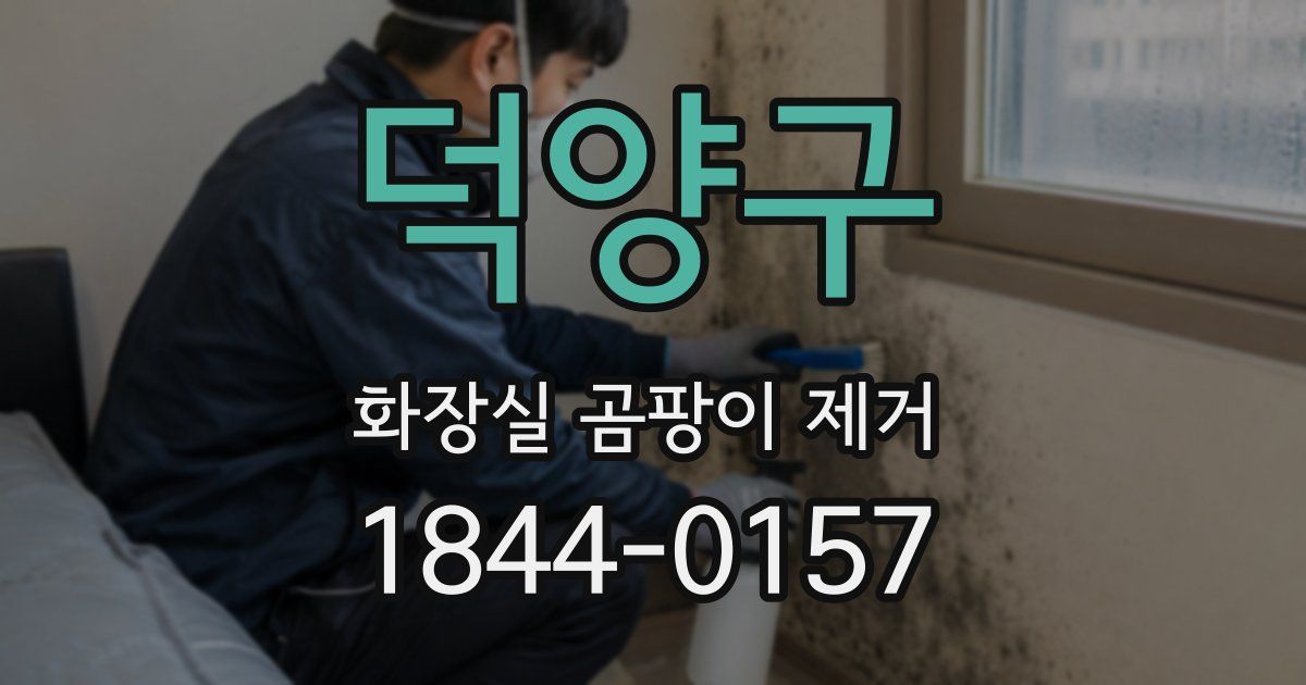 덕양구 화장실 곰팡이 제거
