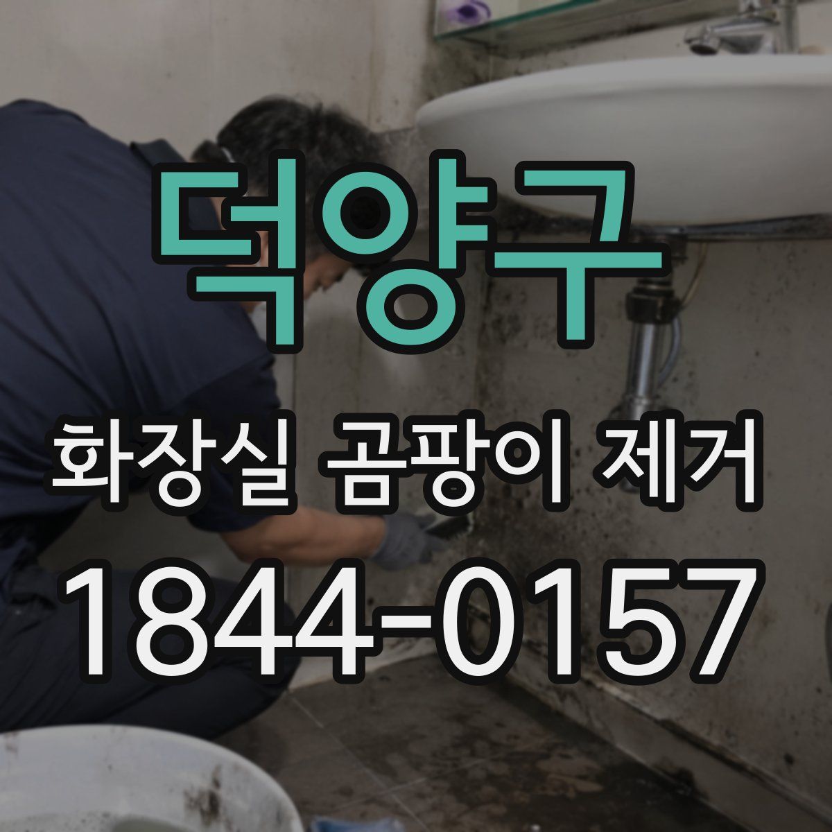 덕양구 화장실 곰팡이 제거