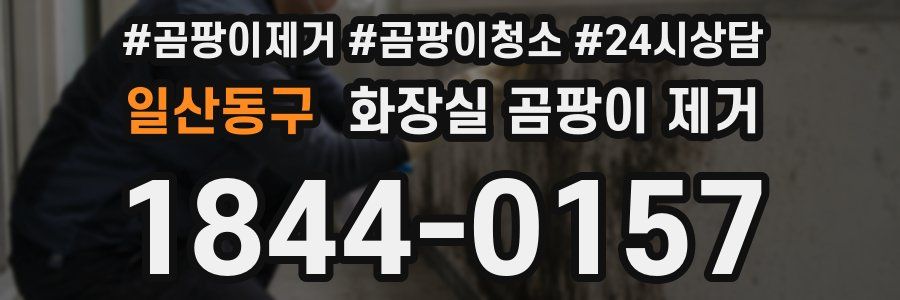 일산동구 화장실 곰팡이 제거