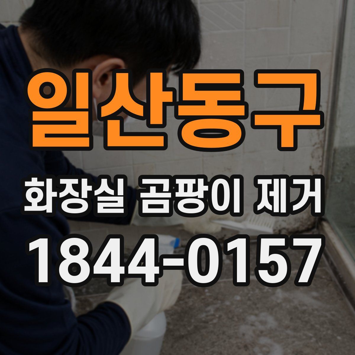 일산동구 화장실 곰팡이 제거