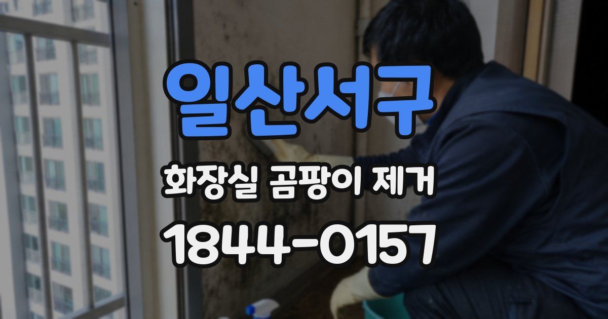일산서구 화장실 곰팡이 제거