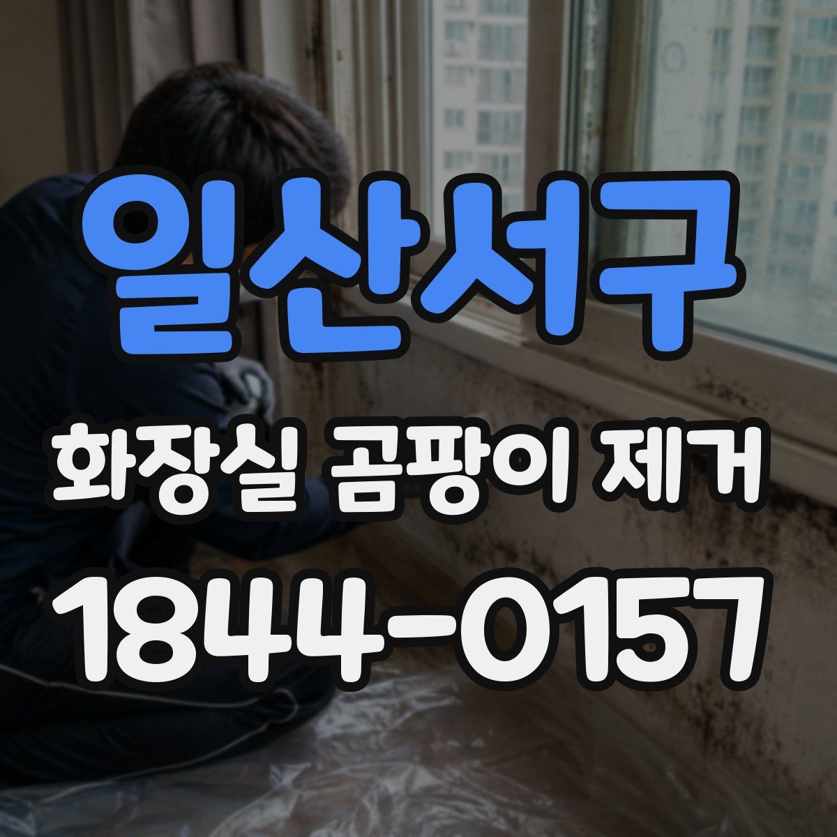 일산서구 화장실 곰팡이 제거