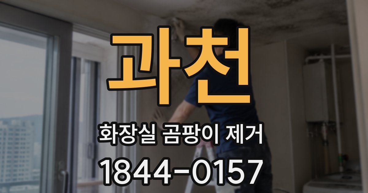 과천 화장실 곰팡이 제거