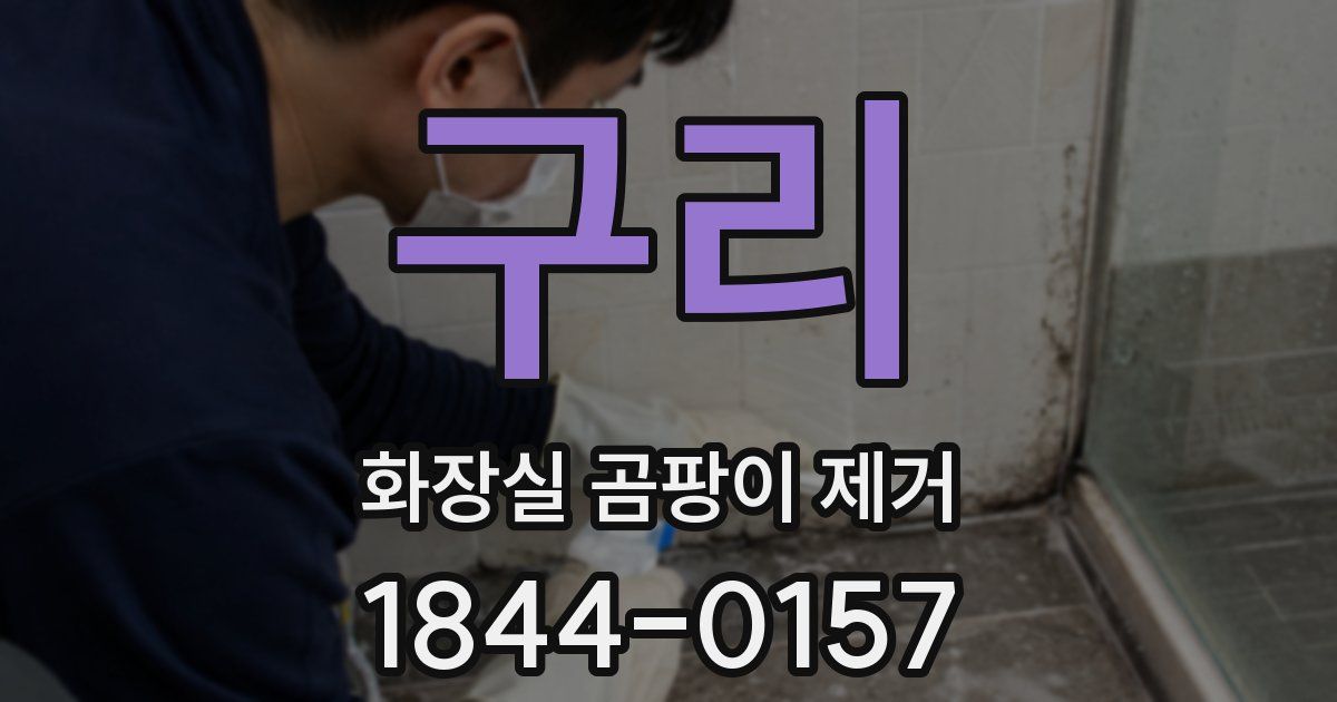 구리 화장실 곰팡이 제거