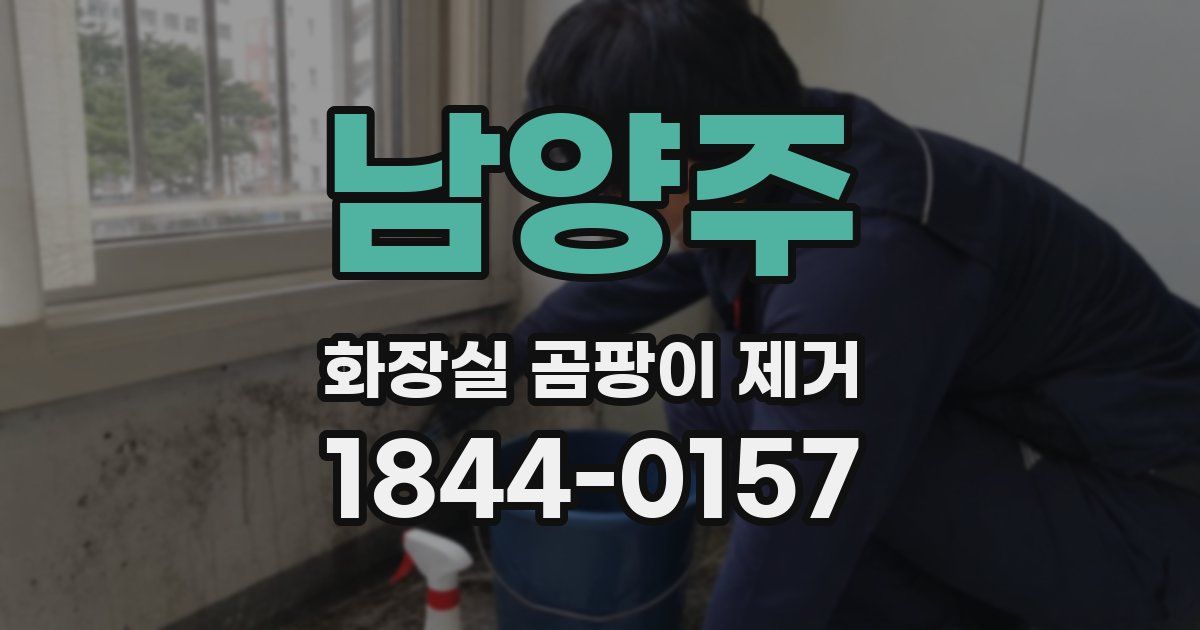 남양주 화장실 곰팡이 제거