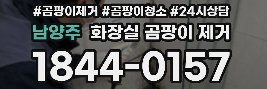 남양주 화장실 곰팡이 제거