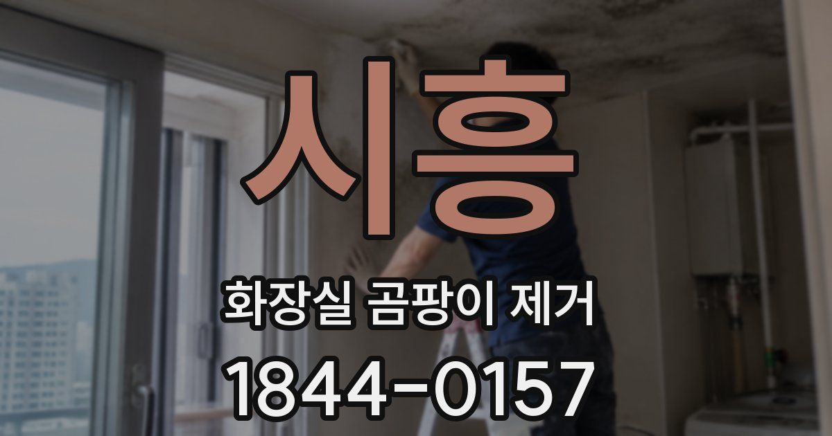 시흥 화장실 곰팡이 제거