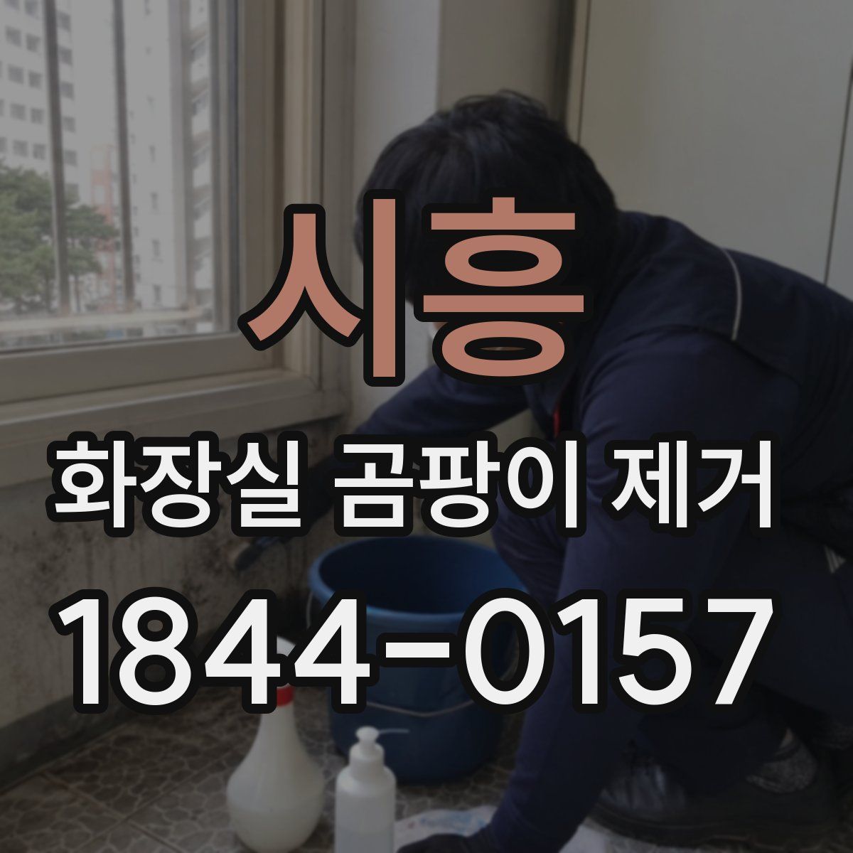 시흥 화장실 곰팡이 제거