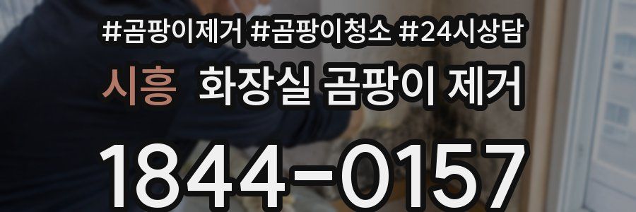 시흥 화장실 곰팡이 제거