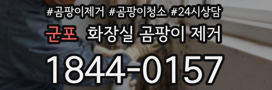 군포 화장실 곰팡이 제거