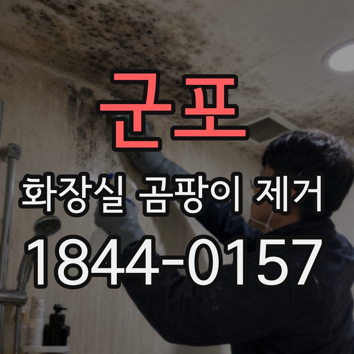 군포 화장실 곰팡이 제거