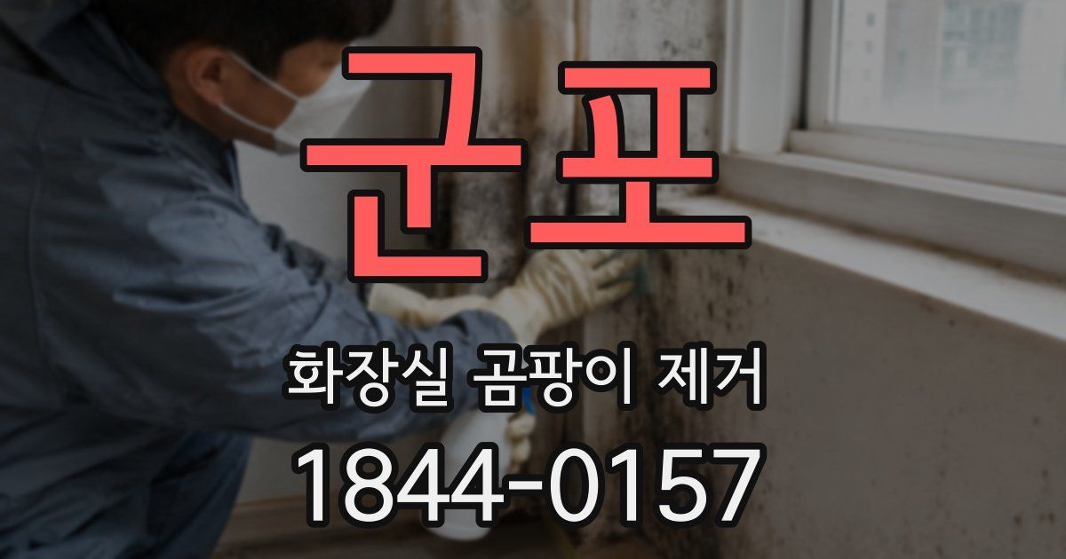군포 화장실 곰팡이 제거