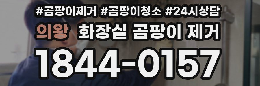 의왕 화장실 곰팡이 제거