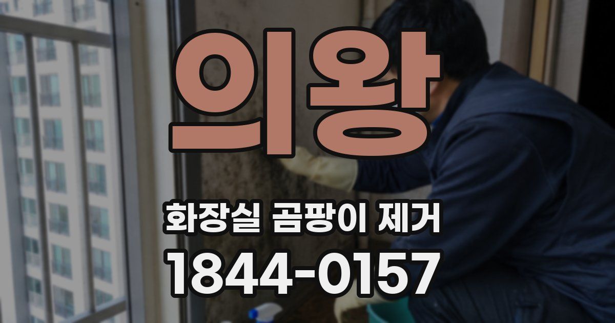 의왕 화장실 곰팡이 제거