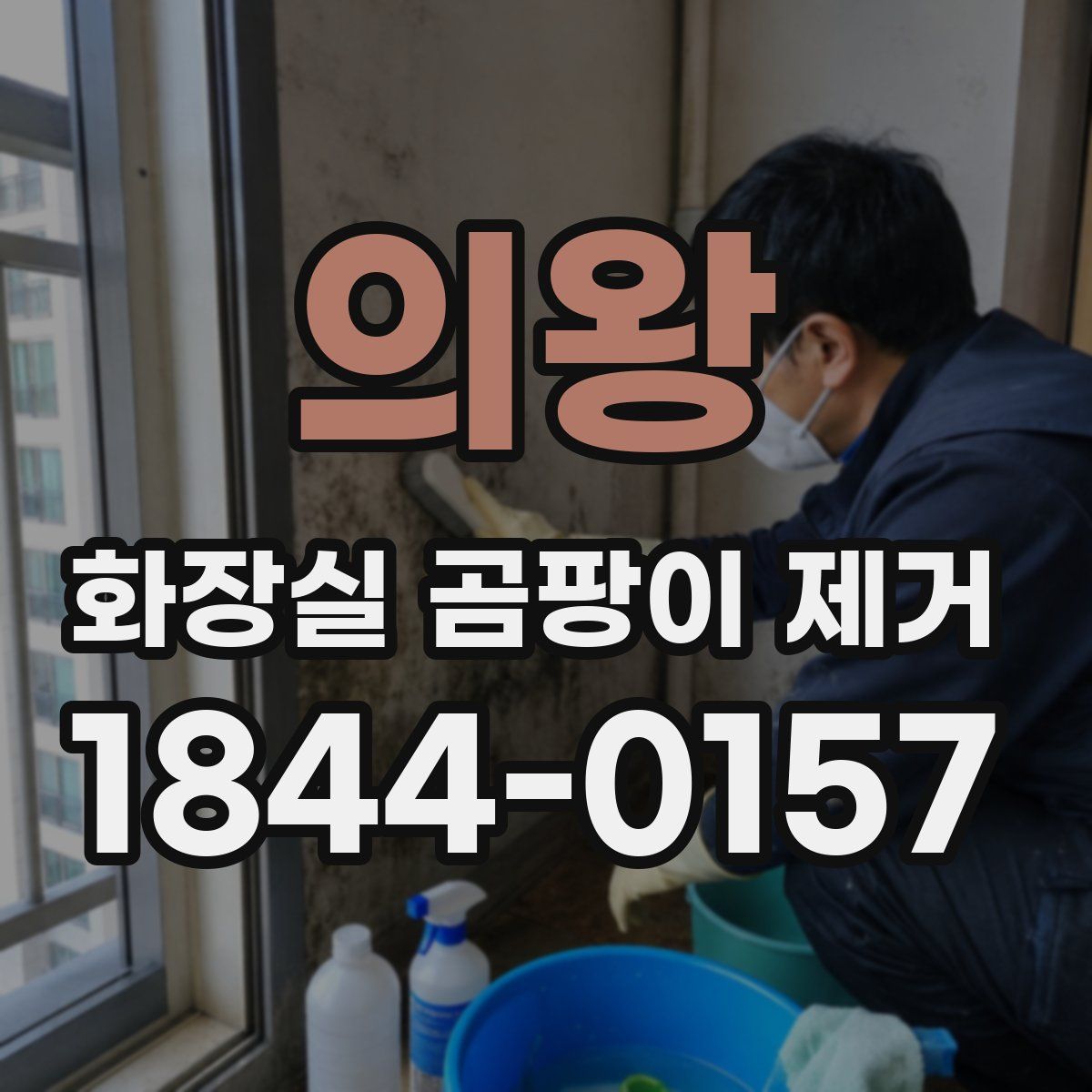 의왕 화장실 곰팡이 제거