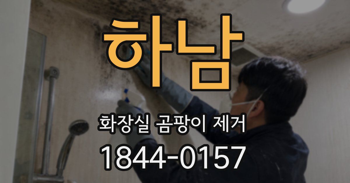 하남 화장실 곰팡이 제거