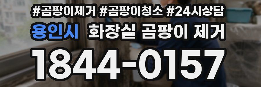 용인시 화장실 곰팡이 제거
