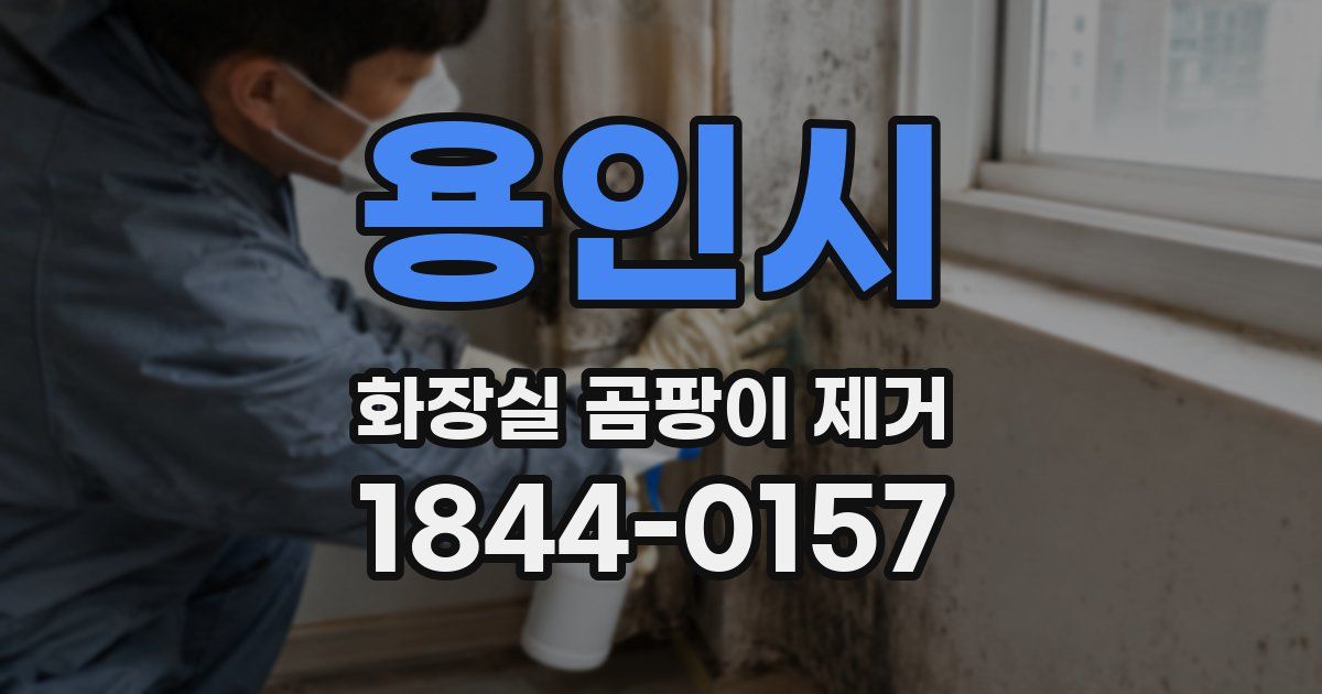 용인시 화장실 곰팡이 제거