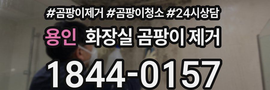 용인 화장실 곰팡이 제거