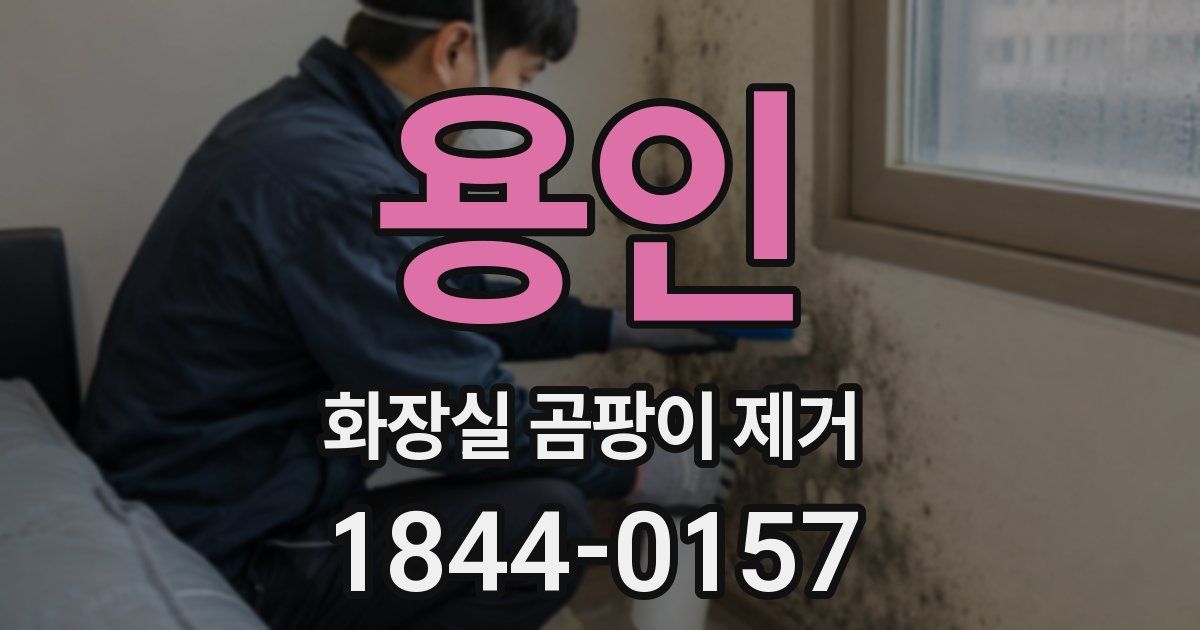 용인 화장실 곰팡이 제거