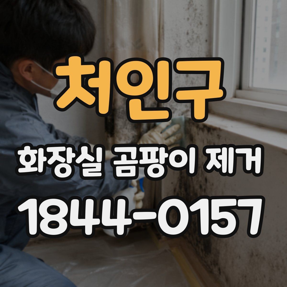 처인구 화장실 곰팡이 제거 세정 성분 차이를 먼저 보는 이유