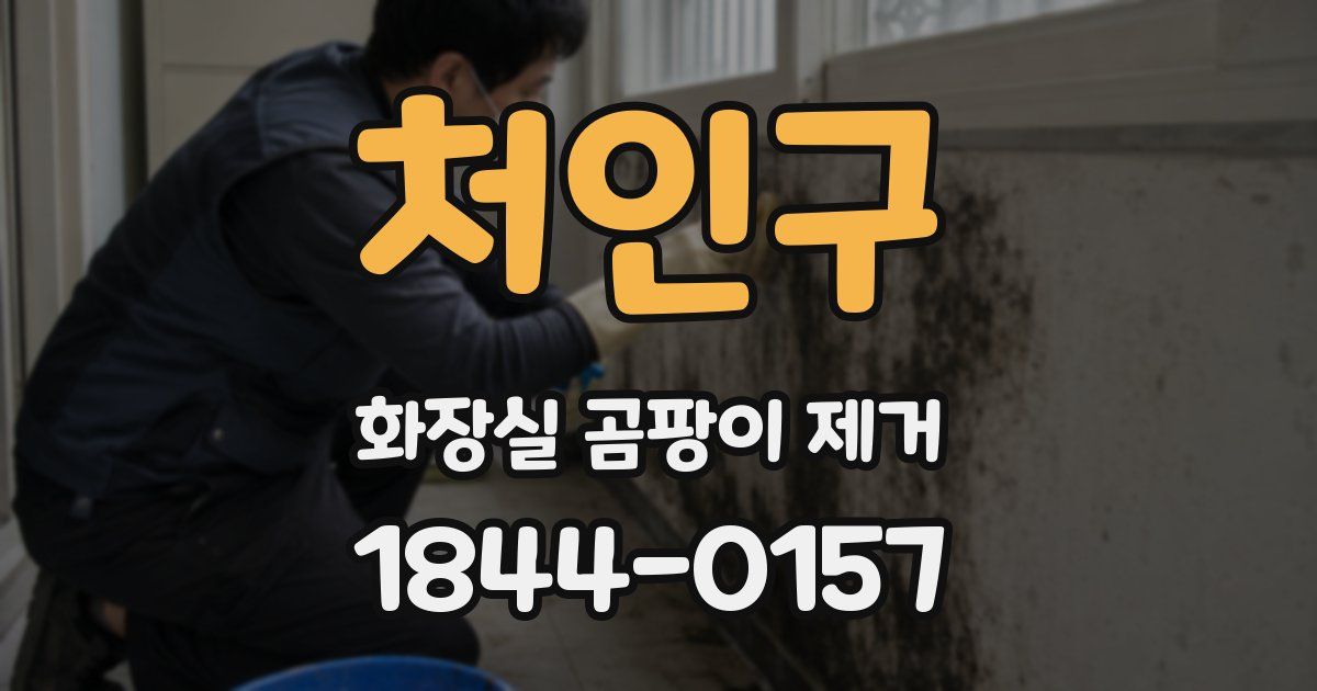 처인구 화장실 곰팡이 제거