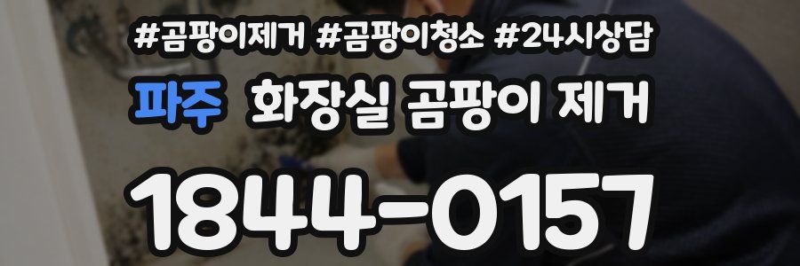 파주 화장실 곰팡이 제거
