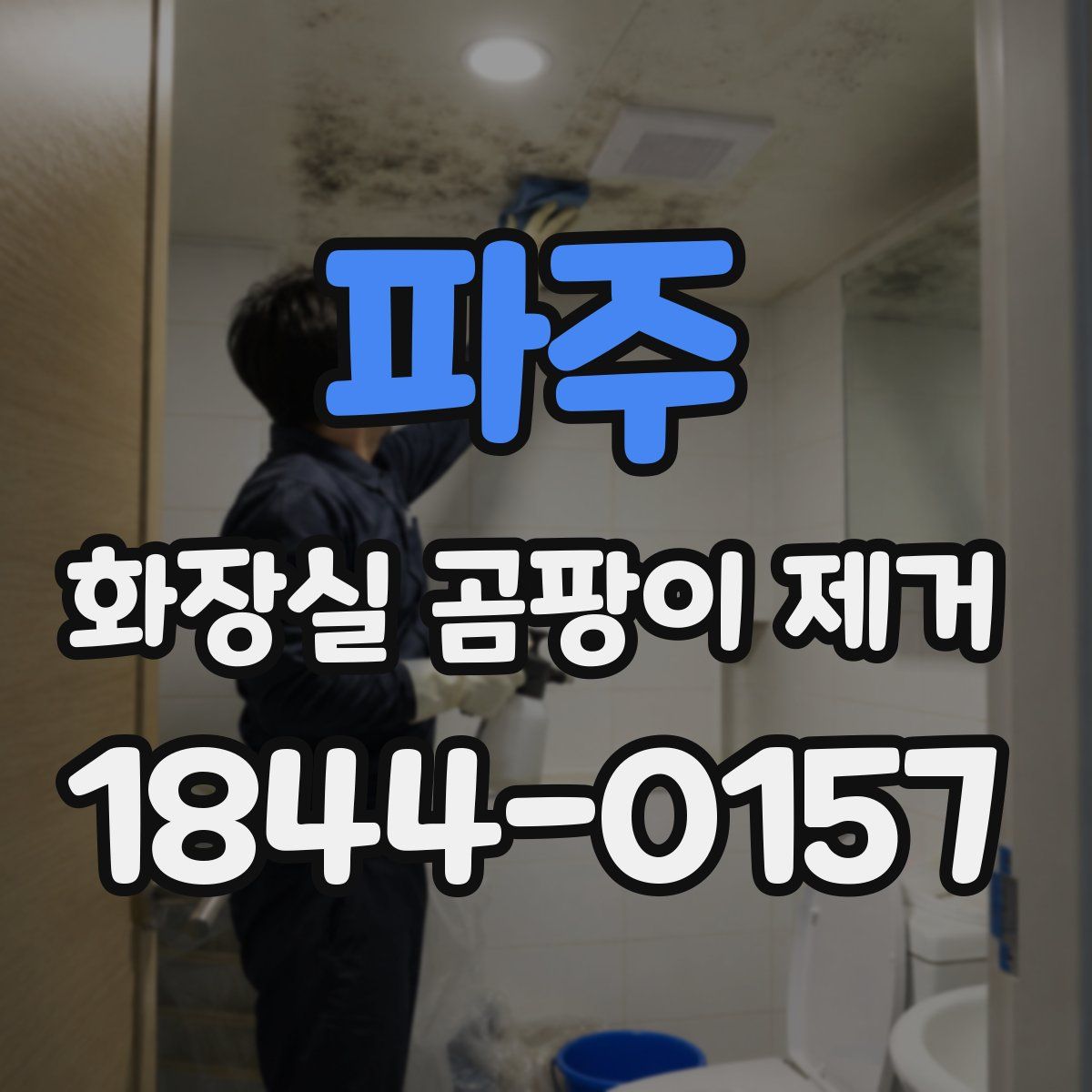 파주 화장실 곰팡이 제거