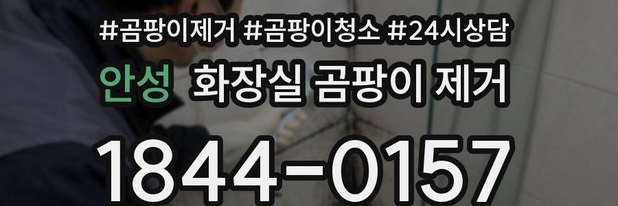안성 화장실 곰팡이 제거