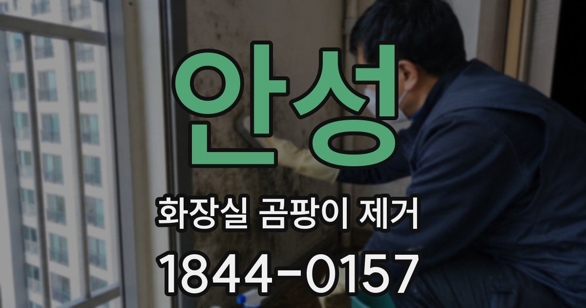 안성 화장실 곰팡이 제거