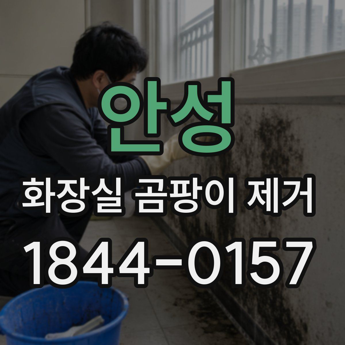 안성 화장실 곰팡이 제거