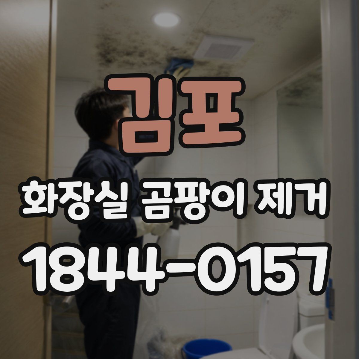 김포 화장실 곰팡이 제거 반려동물 있는 집의 안전한 청소를 시작하기 전 순서