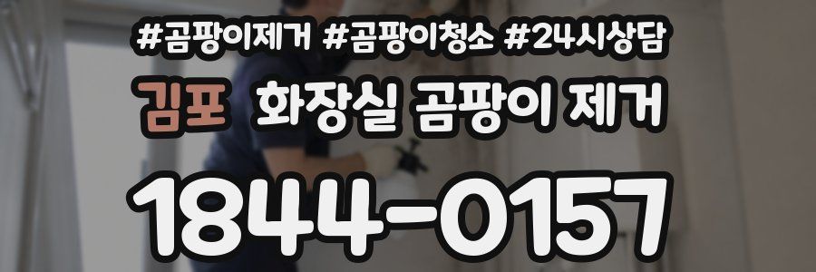 김포 화장실 곰팡이 제거
