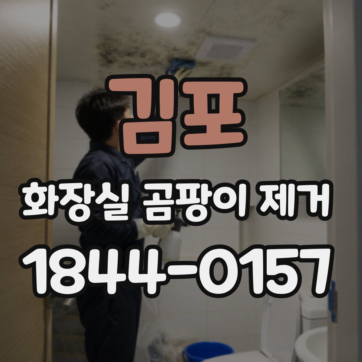 김포 화장실 곰팡이 제거