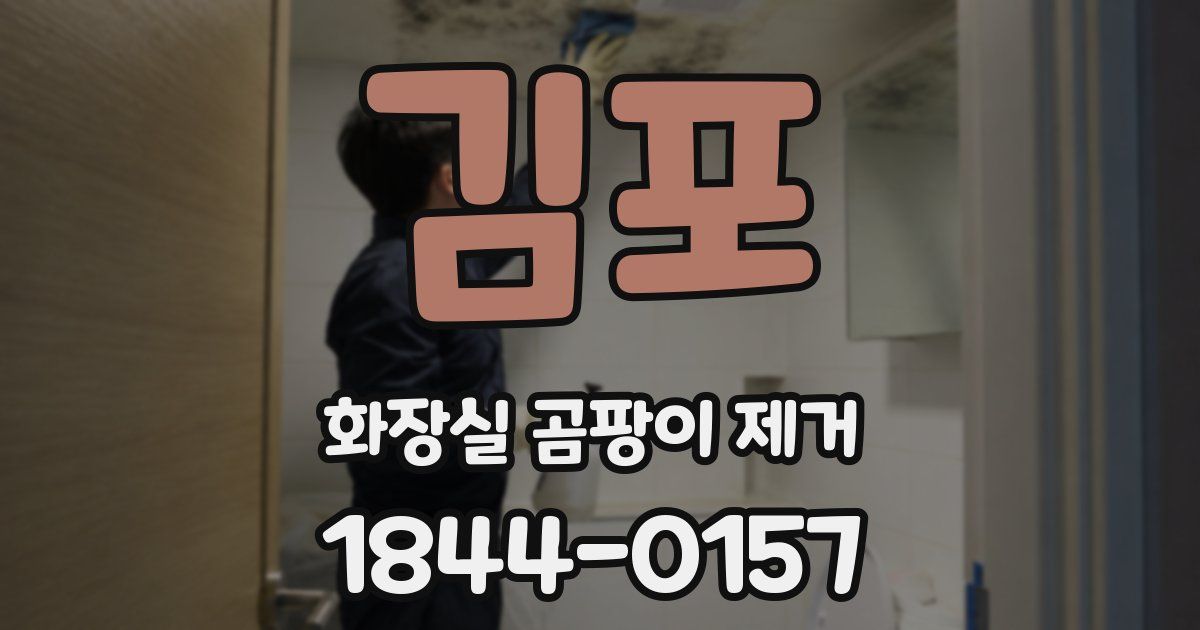 김포 화장실 곰팡이 제거