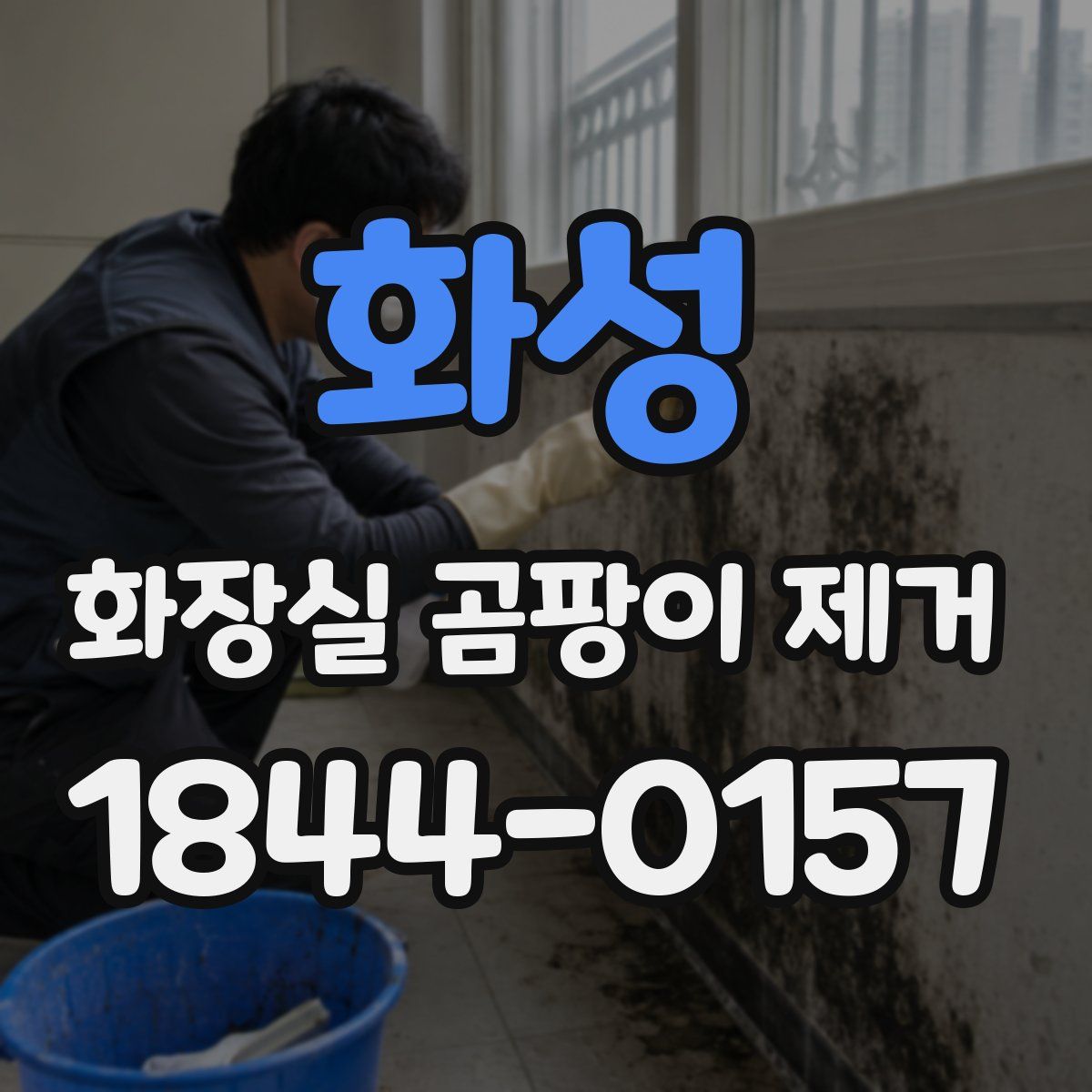화성 화장실 곰팡이 제거