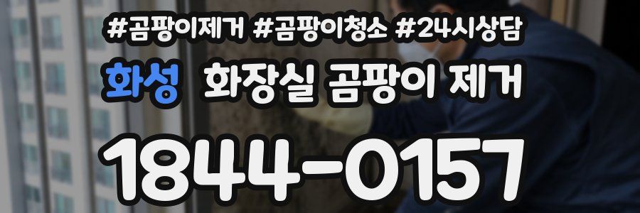 화성 화장실 곰팡이 제거