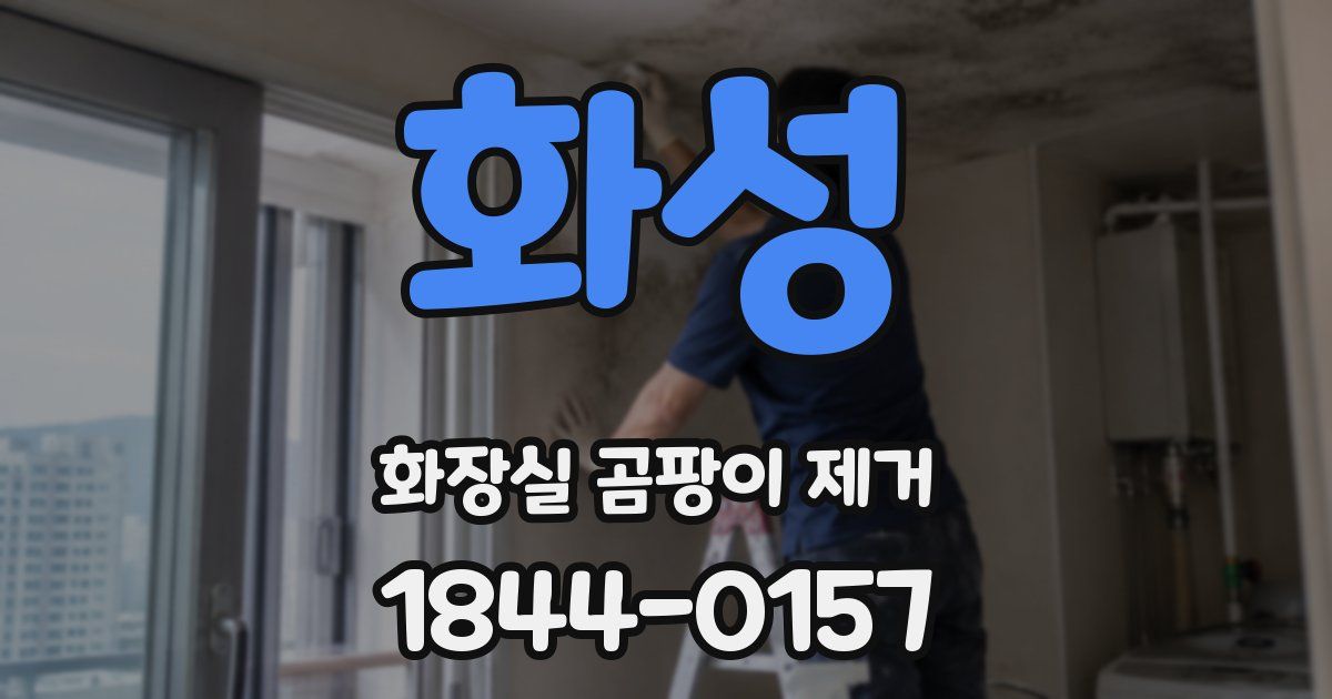 화성 화장실 곰팡이 제거