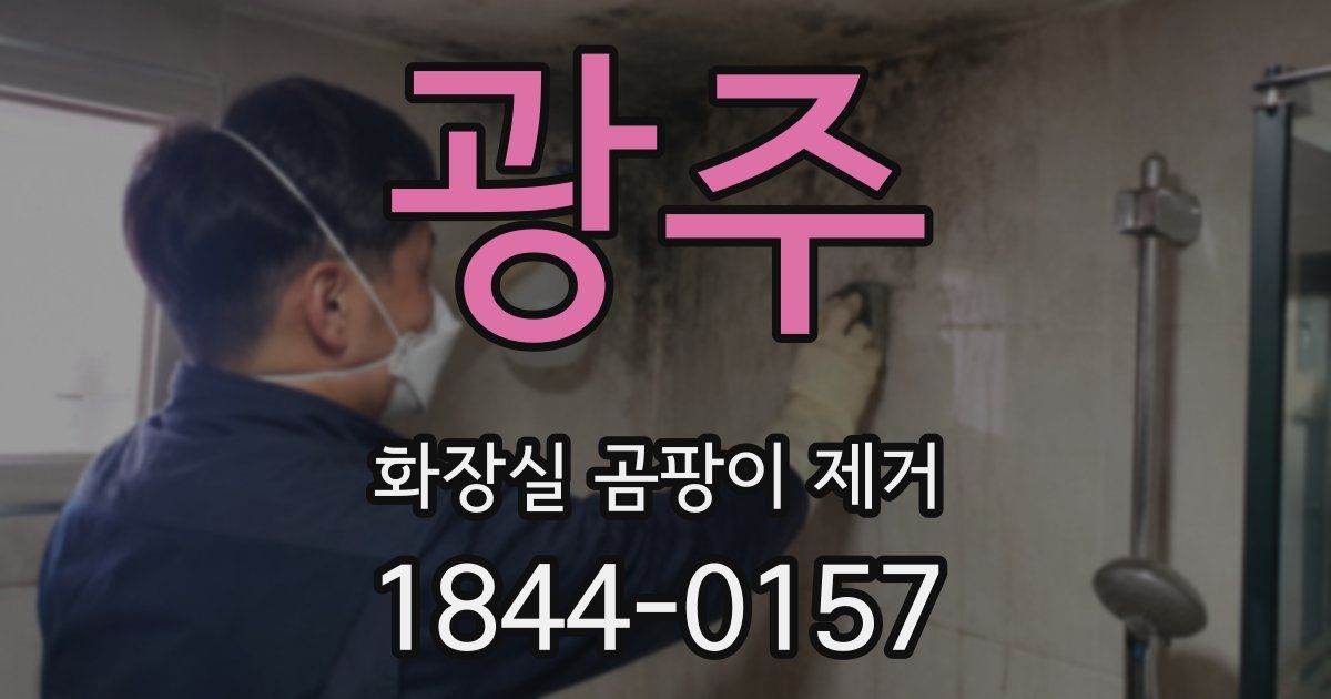 광주 화장실 곰팡이 제거