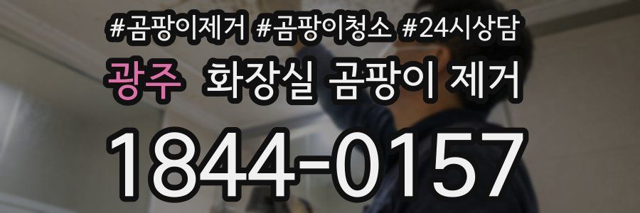 광주 화장실 곰팡이 제거