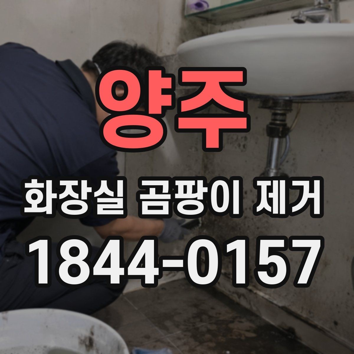 양주 화장실 곰팡이 제거 장마철 청소 주기 잡는 법
