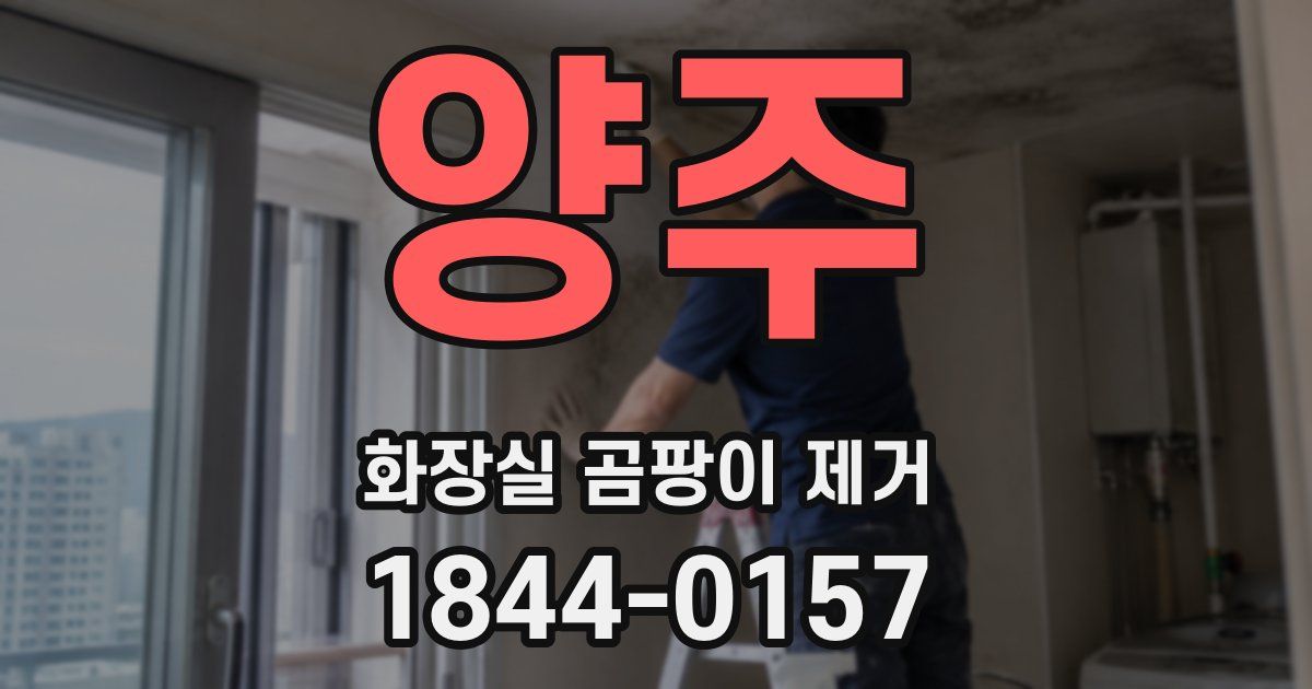 양주 화장실 곰팡이 제거