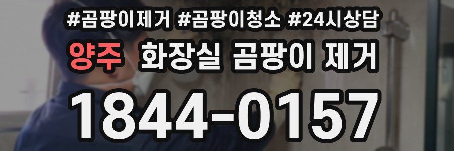 양주 화장실 곰팡이 제거