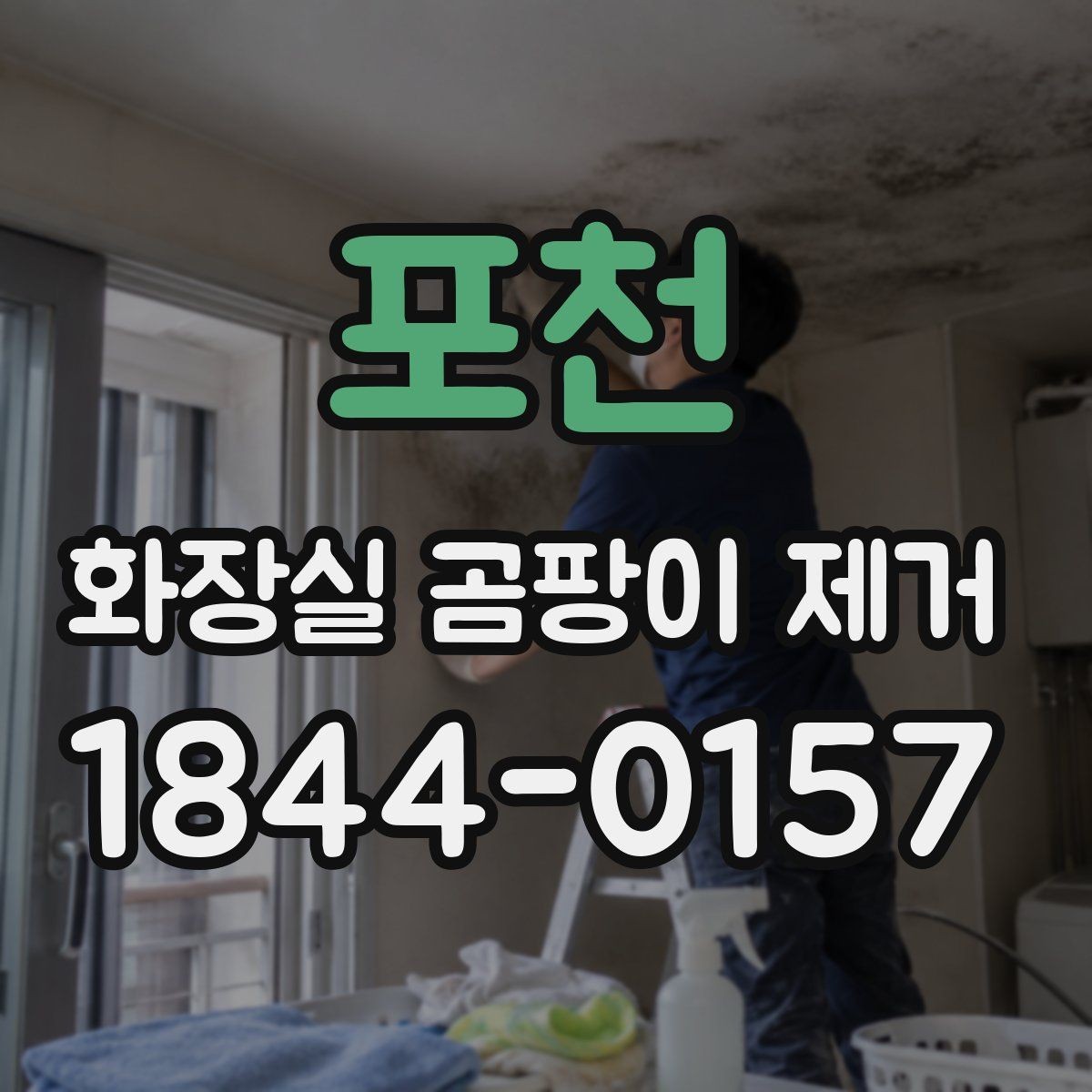 포천 화장실 곰팡이 제거 시 아이와 반려동물 안전을 지키는 방법