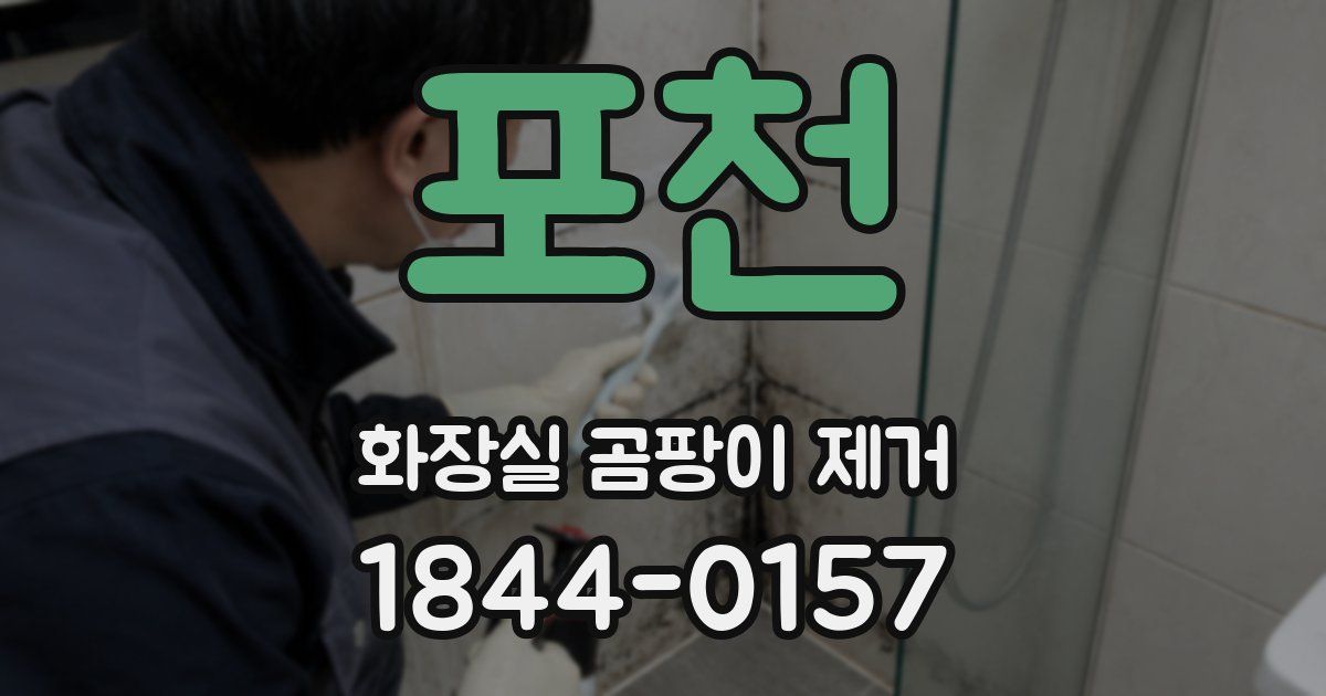 포천 화장실 곰팡이 제거