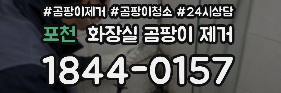 포천 화장실 곰팡이 제거