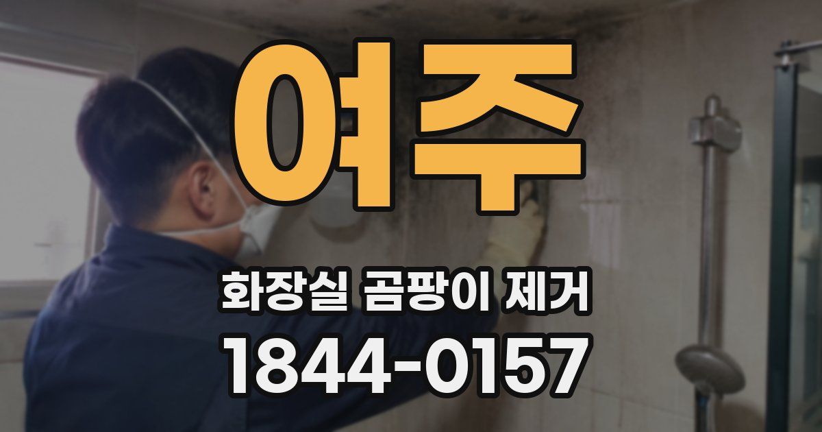 여주 화장실 곰팡이 제거