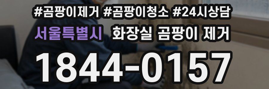 서울특별시 화장실 곰팡이 제거