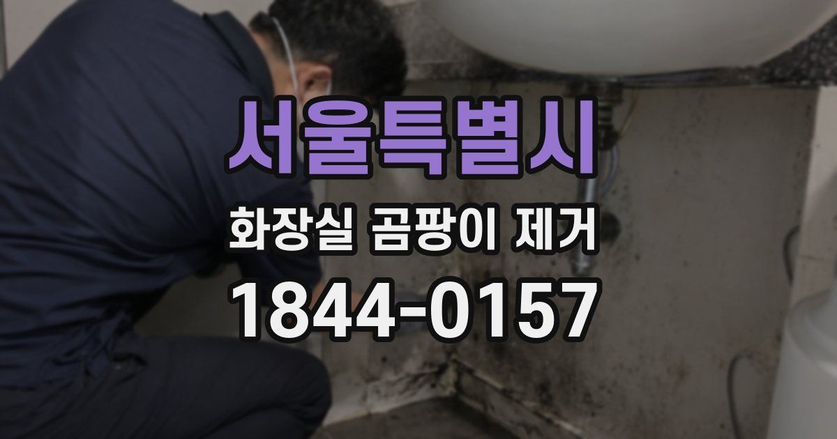 서울특별시 화장실 곰팡이 제거