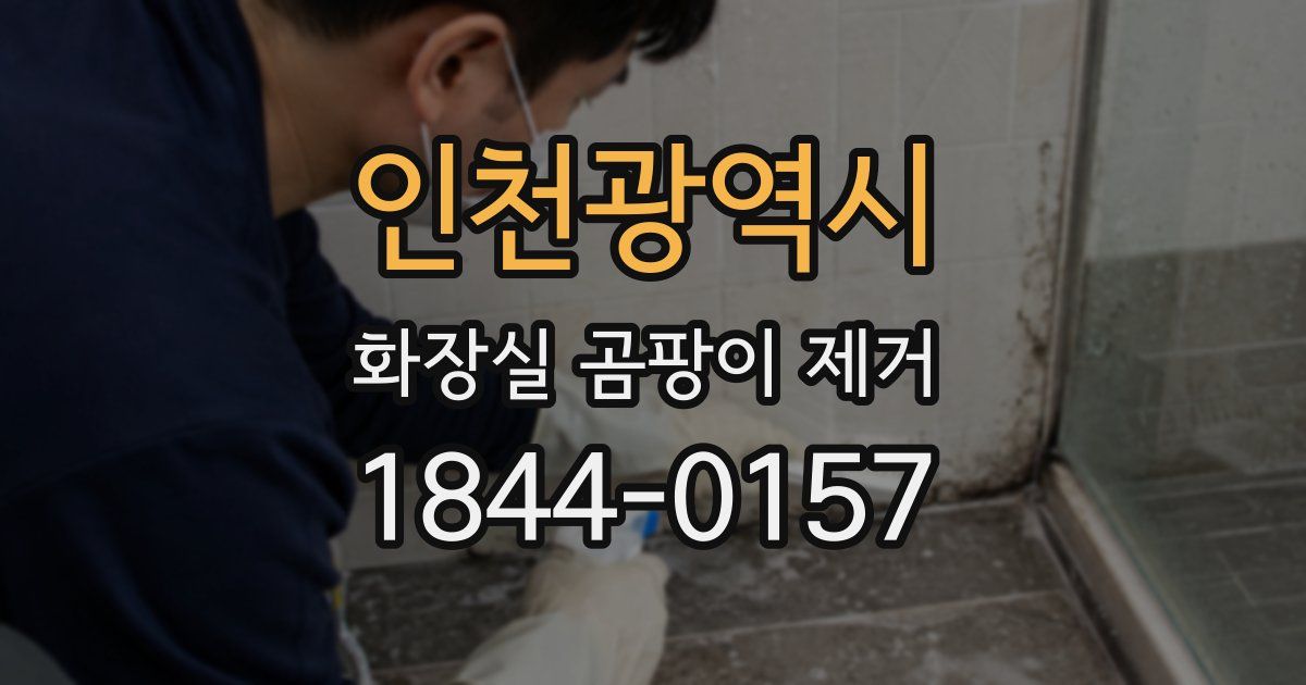 인천광역시 화장실 곰팡이 제거